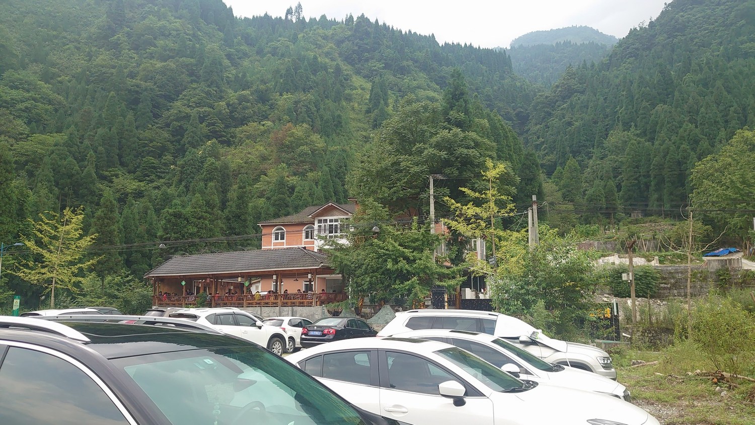 鱼庄短剧临时封面2.JPG